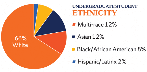 Undergraduate ethnicity