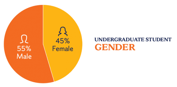 Undergraduate gender